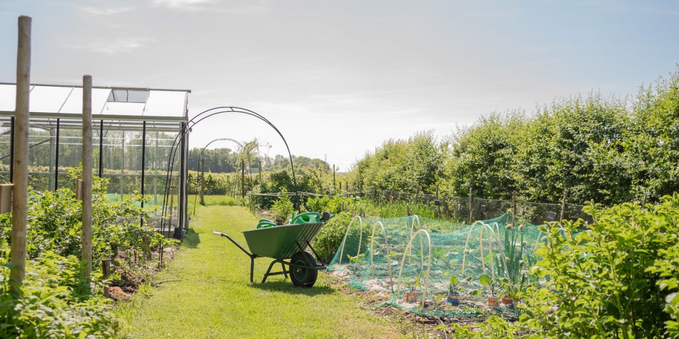 Moestuin 1